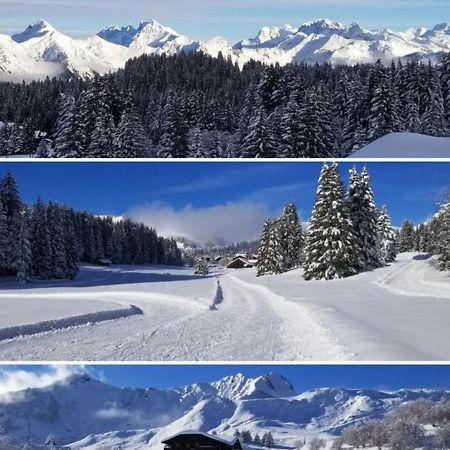 Studio Cabine Praz De Lys Taninges Bagian luar foto
