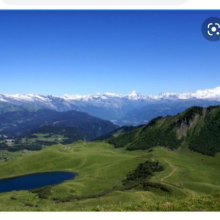 Studio Cabine Praz De Lys Taninges Bagian luar foto
