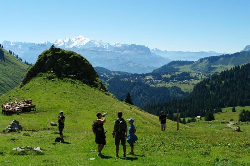 Studio Cabine Praz De Lys Taninges Bagian luar foto