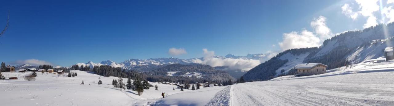 Studio Cabine Praz De Lys Taninges Bagian luar foto