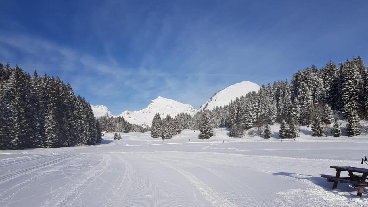 Studio Cabine Praz De Lys Taninges Bagian luar foto
