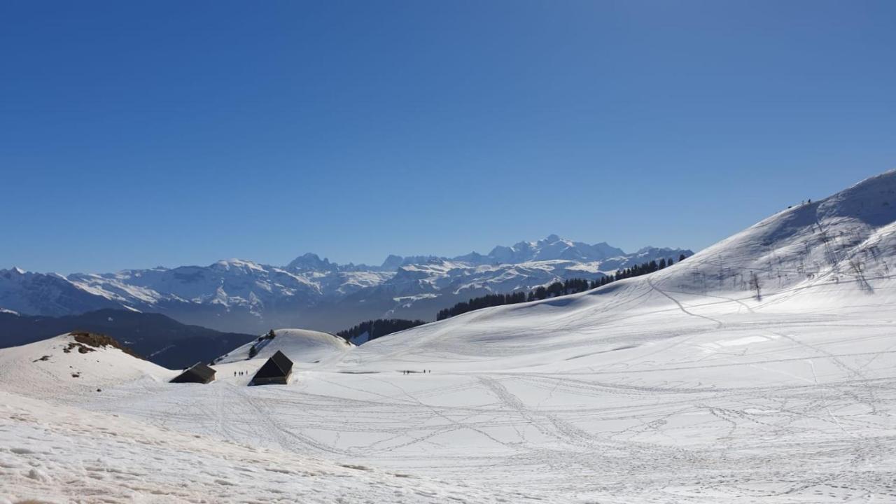 Studio Cabine Praz De Lys Taninges Bagian luar foto