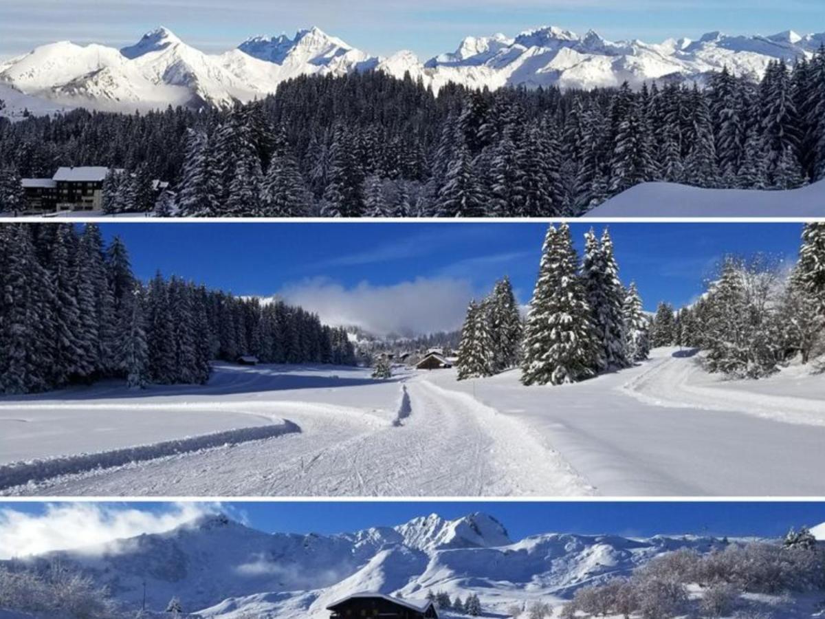 Studio Cabine Praz De Lys Taninges Bagian luar foto