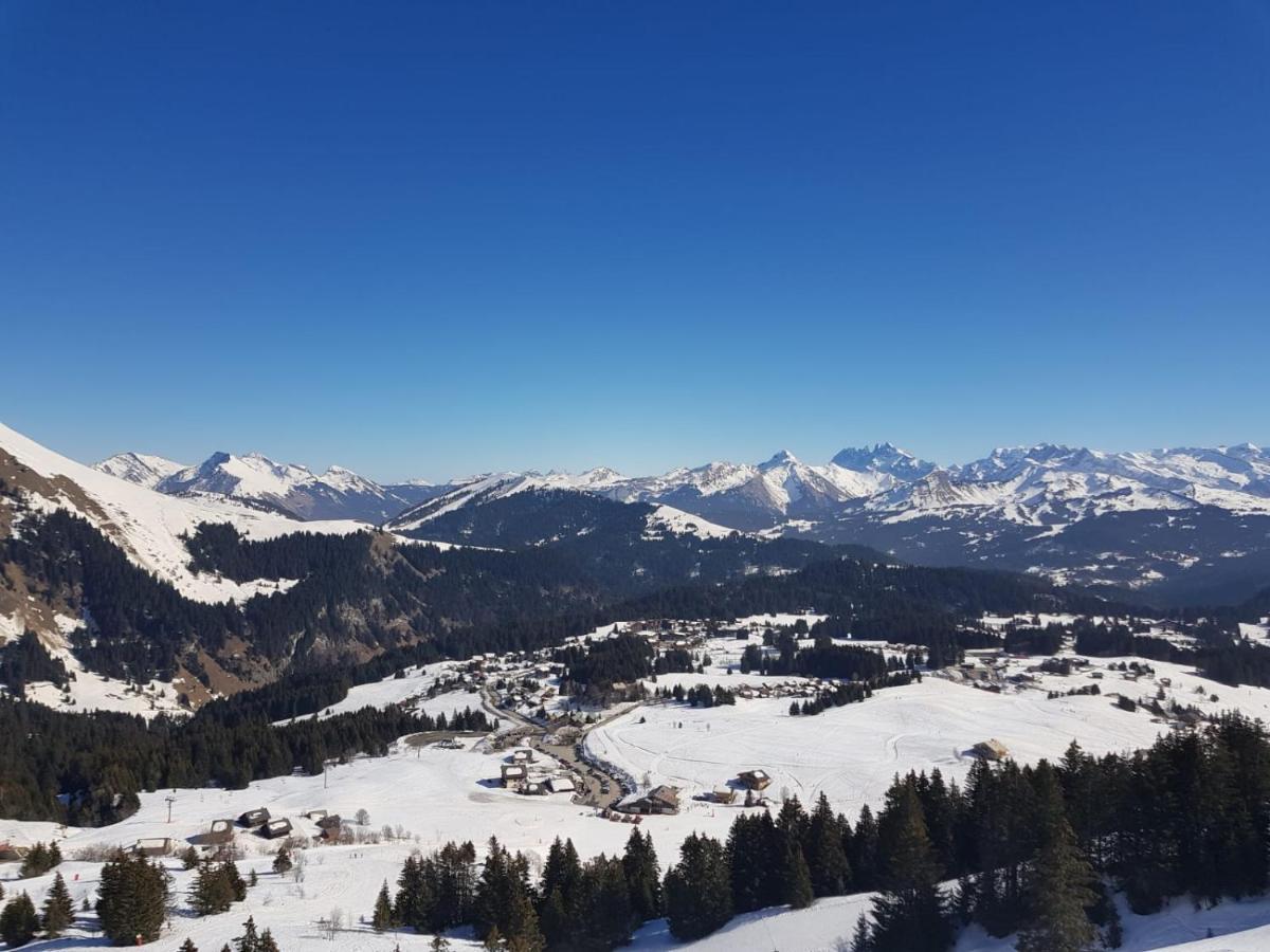 Studio Cabine Praz De Lys Taninges Bagian luar foto