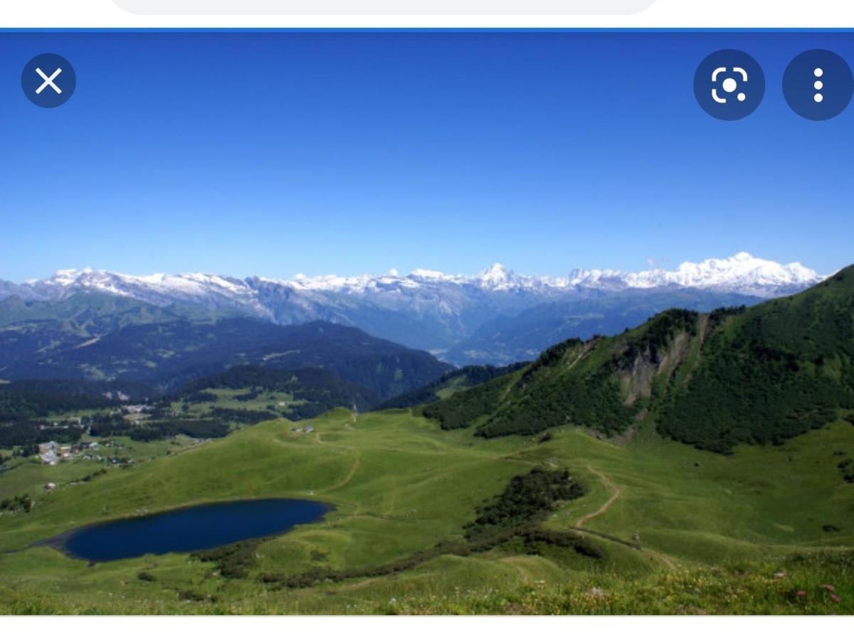 Studio Cabine Praz De Lys Taninges Bagian luar foto