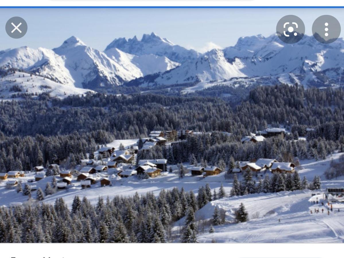Studio Cabine Praz De Lys Taninges Bagian luar foto