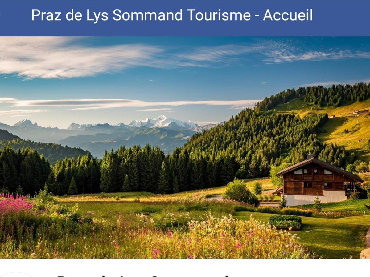 Studio Cabine Praz De Lys Taninges Bagian luar foto